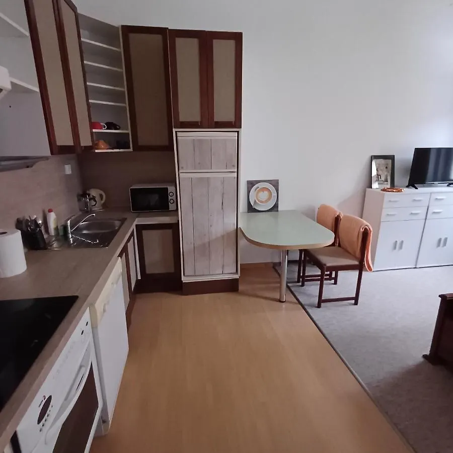 Apartmán Ap 4 Alice Suite Near Vridlo Collonade Karlovy Vary Česká republika