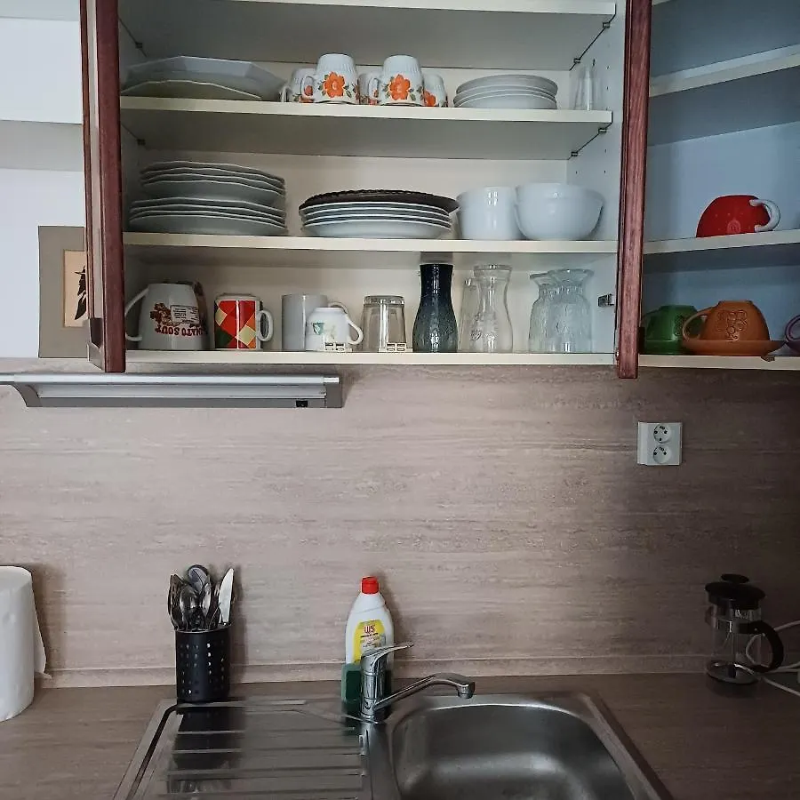 Ap 4 Alice Suite Near Vridlo Collonade Karlovy Vary Apartmán